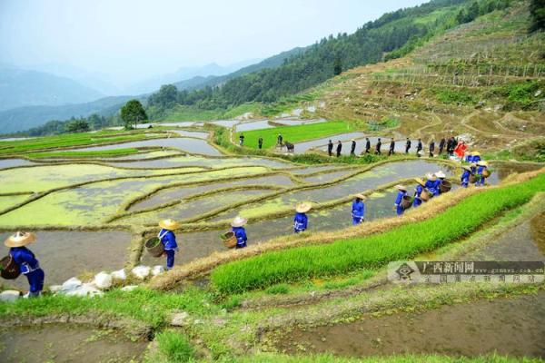 农耕与苗族节庆的完美交融