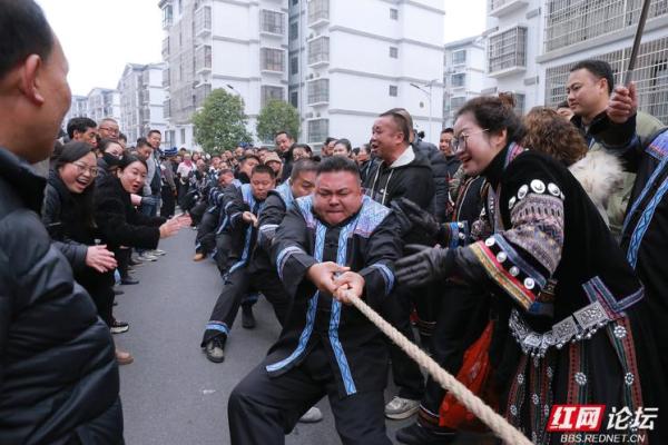 农耕与苗族节庆的完美交融