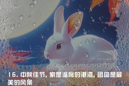 中秋节：月圆之夜与家庭团圆的深远含义