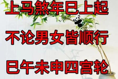 揭秘：挑选吉日，竟有这些不为人知的秘诀？