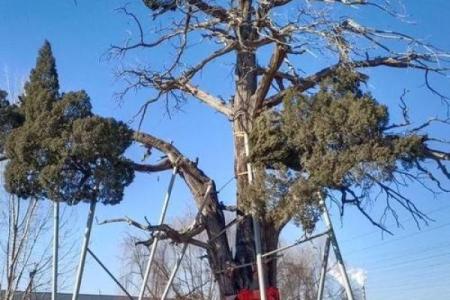 五月神秘:农历五月,隐藏的五个未知传说等你揭秘