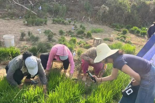 农耕季节的忙碌与庆祝:五月的田间劳动节庆 农耕季节的忙碌与庆祝:五月的田间劳动节庆