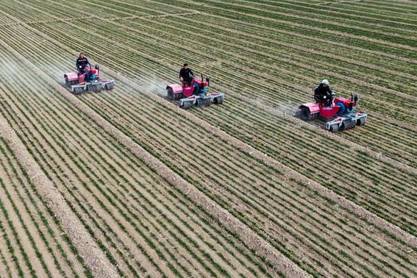 是如何影响农耕生产的关键时刻 是如何影响农耕生产的关键时刻