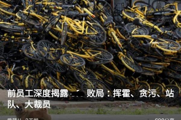 九月的神秘吉日,哪家企业能借力崛起? 九月的神秘吉日,哪家企业能借力崛起?