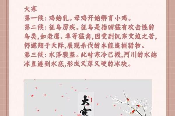 今天的节日:探索传统文化的奥秘 今天的节日:探索传统文化的奥秘