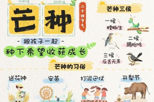 农耕文化中的夏季节令,如何准备迎接丰收季节 农耕文化中的夏季节令,如何准备迎接丰收季节
