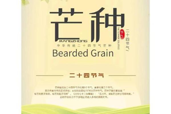 农耕文化中的夏季节令,如何准备迎接丰收季节 农耕文化中的夏季节令,如何准备迎接丰收季节