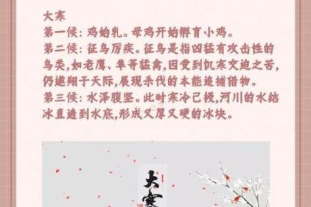 今天的节日：探索传统文化的奥秘