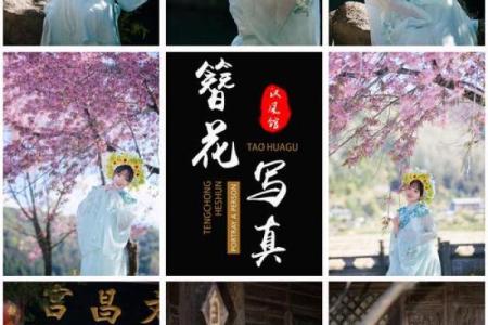 五月十六,古韵飘香:探寻这一天背后的文化奥秘