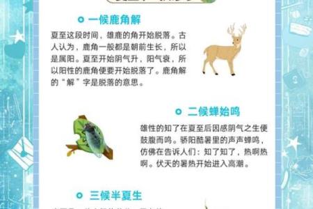 探秘农历六月二十七:揭秘隐藏在夏至之后的神秘节日