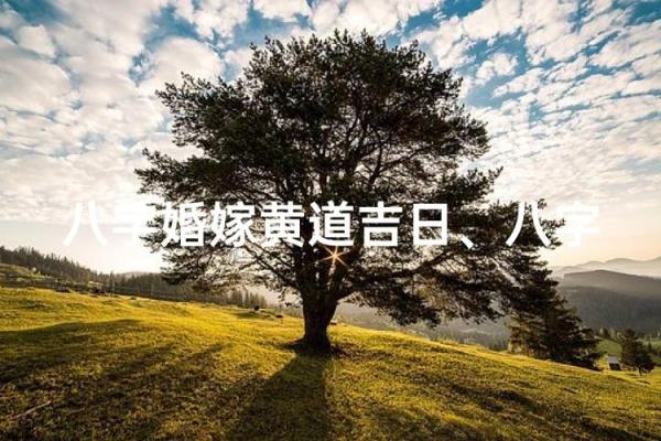 揭秘八字婚配,这些神秘吉日竟会影响你后半生幸福 揭秘八字婚配,这些神秘吉日竟会影响你后半生幸福
