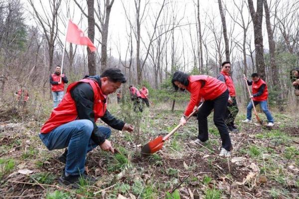 种树吉日大揭秘,是时候给你的家园添绿啦 种树吉日大揭秘,是时候给你的家园添绿啦