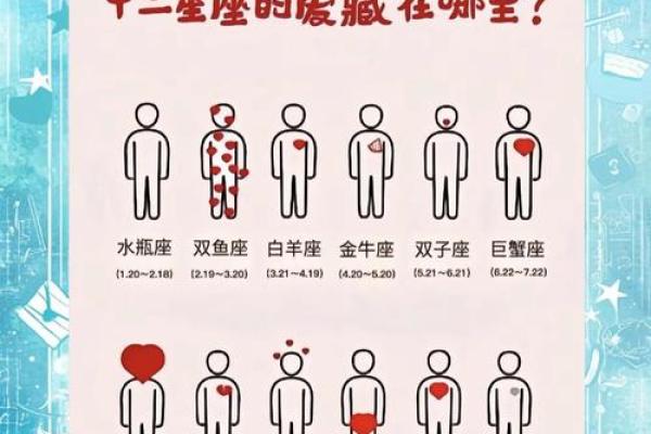 揭秘农历十二星座：谁是你的本命星？探寻命运密码的神秘之旅