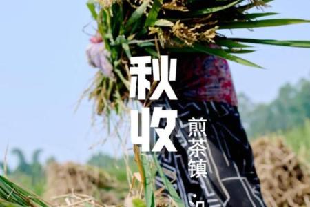 农历：秋收节的传统与现代意义