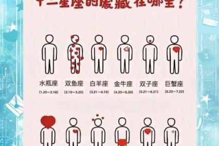 揭秘农历十二星座:谁是你的本命星?探寻命运密码的神秘之旅