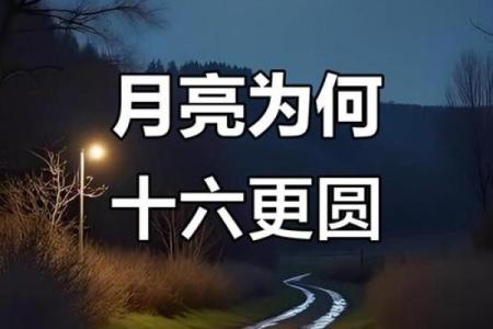 月圆人团圆，揭秘农历十一月十五的秘密你准备好了吗？