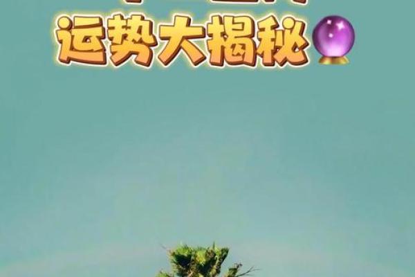 揭秘：农历生肖背后的秘密，你的生肖运势大揭秘