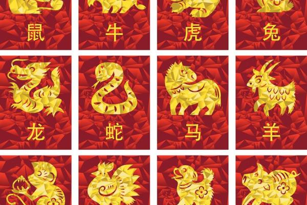揭秘：农历生肖背后的秘密，你的生肖运势大揭秘