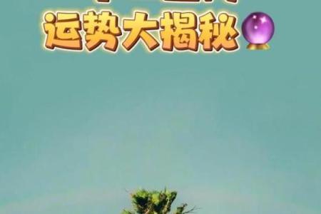 揭秘：农历生肖背后的秘密，你的生肖运势大揭秘