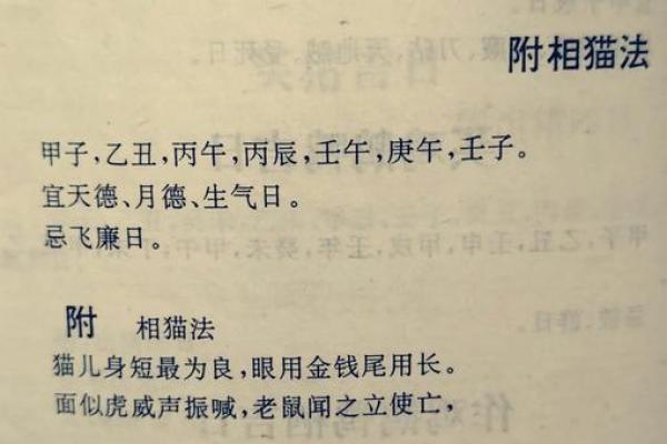 一触即发揭秘如何挑选最佳吉日? 一触即发揭秘如何挑选最佳吉日?