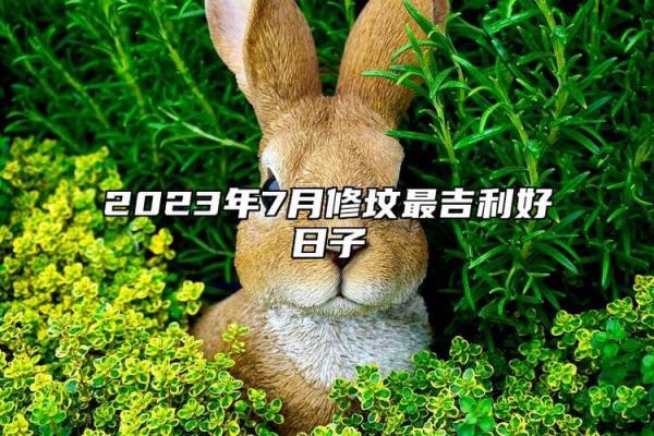 揭秘出车吉日,这些日子你敢出发吗? 揭秘出车吉日,这些日子你敢出发吗?