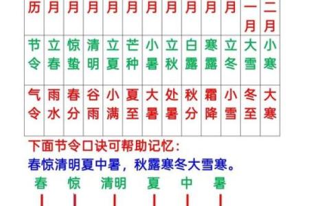 农耕文化中的节日密码：节令与食俗的完美融合