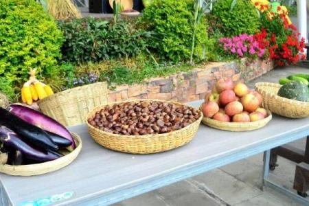 七月节令与习俗：探秘传统农耕中的丰收庆典