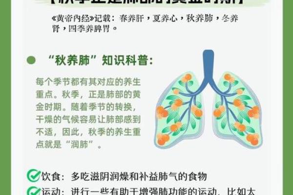 养生指南：秋季节气与健康调养