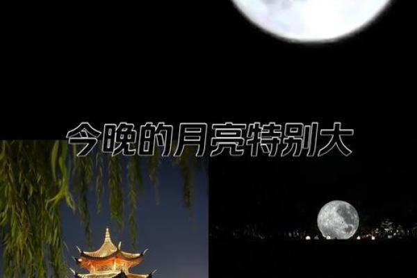 十七月夜,月色如水,你见过最特别的月亮吗? 十七月夜,月色如水,你见过最特别的月亮吗?