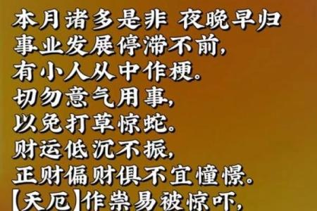 揭秘今日吉日奥秘：错过等一年，你的好运何时到来？