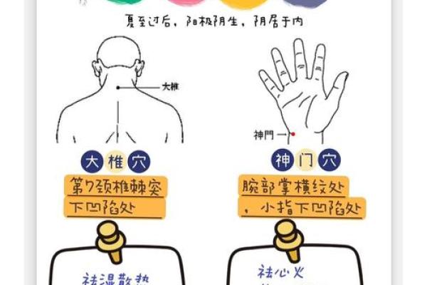 夏至节气与养生的完美结合,如何度过健康的一天 夏至节气与养生的完美结合,如何度过健康的一天