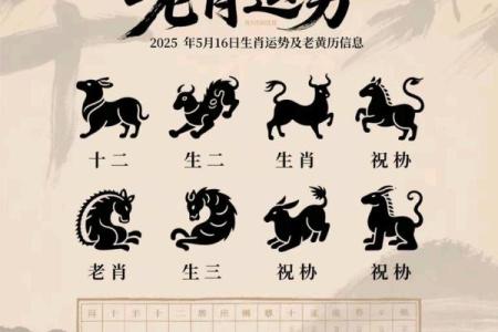 揭秘生肖专属吉日：你的好运哪天来？