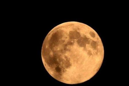 回家的日子，竟然也有讲究？揭秘吉日的神秘力量