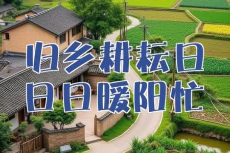 农耕生活与节日：与自然节奏同步的生活方式