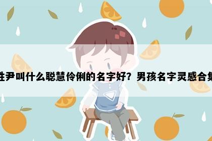 姓尹叫什么聪慧伶俐的名字好？男孩名字灵感合集