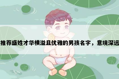 求推荐盛姓才华横溢且优雅的男孩名字，意境深远的