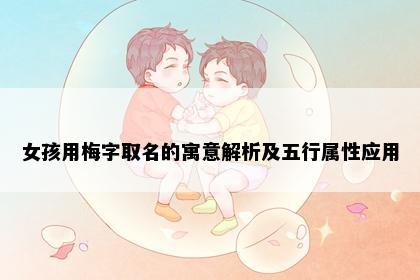 女孩用梅字取名的寓意解析及五行属性应用