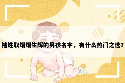 褚姓取熠熠生辉的男孩名字，有什么热门之选？