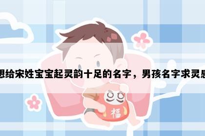 想给宋姓宝宝起灵韵十足的名字，男孩名字求灵感