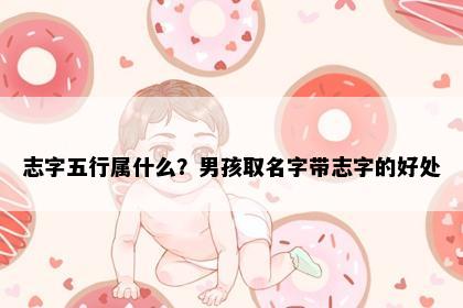 志字五行属什么？男孩取名字带志字的好处