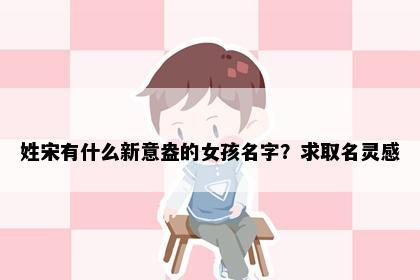 姓宋有什么新意盎的女孩名字？求取名灵感