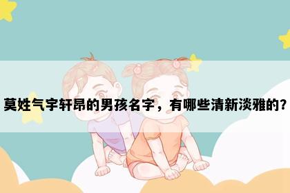 莫姓气宇轩昂的男孩名字，有哪些清新淡雅的？