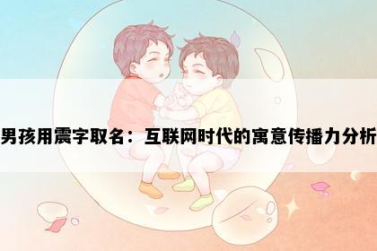 男孩用震字取名：互联网时代的寓意传播力分析