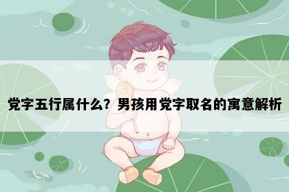 党字五行属什么？男孩用党字取名的寓意解析