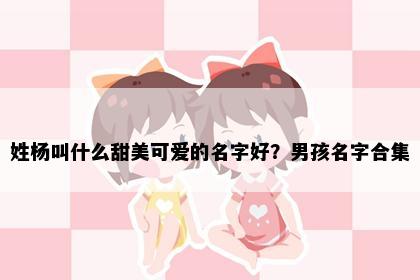 姓杨叫什么甜美可爱的名字好？男孩名字合集