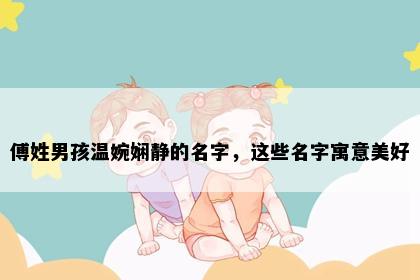 傅姓男孩温婉娴静的名字，这些名字寓意美好