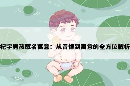 杞字男孩取名寓意：从音律到寓意的全方位解析
