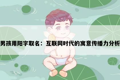 男孩用阳字取名：互联网时代的寓意传播力分析