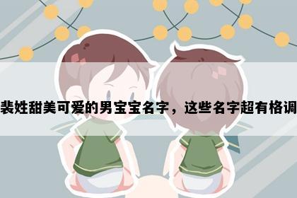 裴姓甜美可爱的男宝宝名字，这些名字超有格调