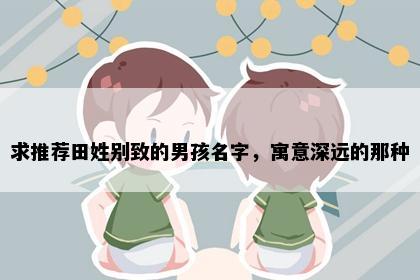 求推荐田姓别致的男孩名字，寓意深远的那种